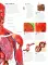 Eyewitness - Human Body