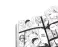 One Piece. Большой куш. 14. Пираты против СП9: Кн. 40-42: манга
