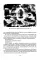Прекрасные пути. Размышления об искусстве и жизни: Тексты 1943-1999