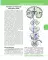 Textbook of Human Anatomy. In 3 vol. Vol. 3: Nervous system. Esthesiology: на англ.яз