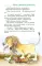 Все приключения Тафити