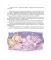 Поллианна + Поллианна выросла: повесть (комплект из 2-х книг)