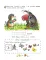 Математика. Учимся решать примеры и задачи: для детей 5-7 лет