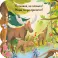 Лес: книжка с окошками