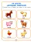 Нейрокомплекс: говорю правильно: 4-5 лет