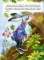 Книга лесной премудрости