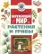 Окружающий мир. Растения и грибы