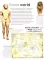 Eyewitness - Ancient Greece