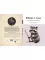 A Little Brother to the Bear. And Other Animal Studies (на англ.языке)