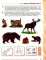 Развиваем связную речь у детей 6-7 лет с ОНР. Альбом 2. Мир животных. 3-е изд., испр