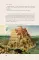 Древний мир. Краткая история с иллюстрациями
