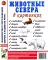 Животные севера в картинках. Наглядное пособие для педагогов, логопедов, воспитателей и родителей