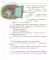 Антарктический 