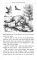 Stories about Wild Animals = Рассказы о диких животных: книга для чтения на англ. яз. в 5-6-х кл-х