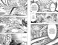 One-Punch Man. Кн. 16: Кн. 31-32: Чистилищная феноменальная пушка. Благословение: манга