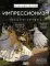 Импрессионизм. Искусство понимать
