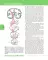 Textbook of Human Anatomy. In 3 vol. Vol. 3: Nervous system. Esthesiology: на англ.яз