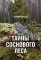 Тайны соснового леса