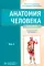 Анатомия человека. Учебник. В 2 т (комплект из 2-х книг)