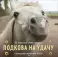 Подкова на удачу. 12 забавных символов года. Календарь настенный на 2026 год