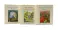 The World of Peter Rabbit (Complete Collection 23 books)