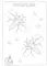 The Very Hungry Caterpillar's Bugs Colouring Book 
