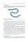 Essential Biochemistry for Medical Students with Problem-Solving Exercises : textbook. Базовый курс биохимии для студентов медицинских специальностей