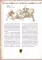 Рыцари. Подлинная история