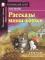 Подборка N 2B книг из серии 