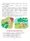 Учимся рассказывать и пересказывать. Познавательные истории. 5-8 лет
