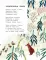Большая книга Деда Мороза. Сказки. Стихи. Песенки