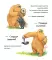 Не обнимайте меня!