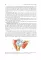 Topographic Anatomy and Operative Surgery: textbook: на англ.яз