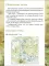 Стратегия победы. Настольная игра