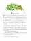 Золотая коллекция сказок