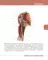 Textbook of Human Anatomy. In 3 v. V. 3: Nervous system. Esthesiology = Анатомия человека. В 3 т. Т. 3: Нервная система. Органы чувств