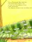 Штука-Дрюка: книжка-картинка