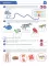 Я учусь читать. Рабочая тетрадь для детей 6-7 лет. 2-е изд., испр