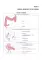 The Course of Faculty (Analitical) Surgery in Pictures, Tables and Schemes