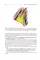 Topographic Anatomy and Operative Surgery: textbook: на англ.яз