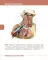 Textbook of Human Anatomy. In 3 v. V. 3: Nervous system. Esthesiology = Анатомия человека. В 3 т. Т. 3: Нервная система. Органы чувств