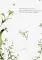 Книга цветов. Мальчик-Одуванчик