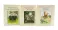 The World of Peter Rabbit (Complete Collection 23 books)