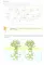 Комплект из 3-х тетрадей для обучения финансовой грамоте детей 5-7 лет