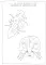 The Very Hungry Caterpillar's Bugs Colouring Book 