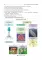 Biology: textbook. Биология: Учебник: на англ.яз
