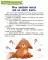 Суперняня. 120 игр и занятий для малыша, пока мама занята