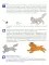 Рабочая тетрадь по развитию речи для детей 4-5 лет
