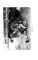 На Харьковском направлении. Дневник военного журналиста
