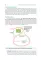 Essential Biochemistry for Medical Students with Problem-Solving Exercises : textbook. Базовый курс биохимии для студентов медицинских специальностей